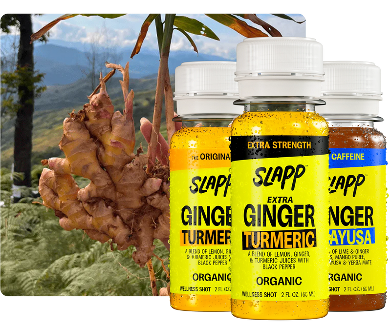 OUR GINGER COMES FROM THE MOUNTAINS OF PERU.